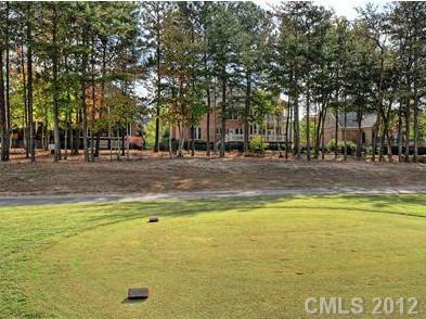 16621 Turtle Point Road Charlotte, NC 28278 - Photo 16 of 16 a view of a swimming pool and trees in the background