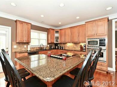 16621 Turtle Point Road Charlotte, NC 28278 - Photo 6 of 16 a kitchen with a stove a sink a microwave and cabinets