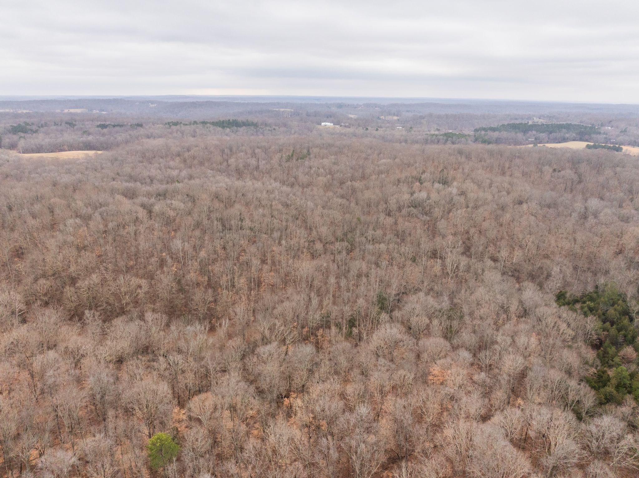 0 Wiley Branch Road Dickson, TN 37055 - Photo 27 of 27