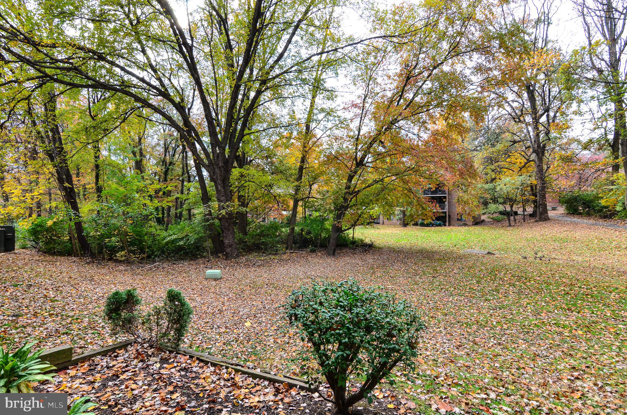 1406 Northgate Square, Unit 1A Reston, VA 20190 - Photo 21 of 38 Quiet Common Area and Green Space
