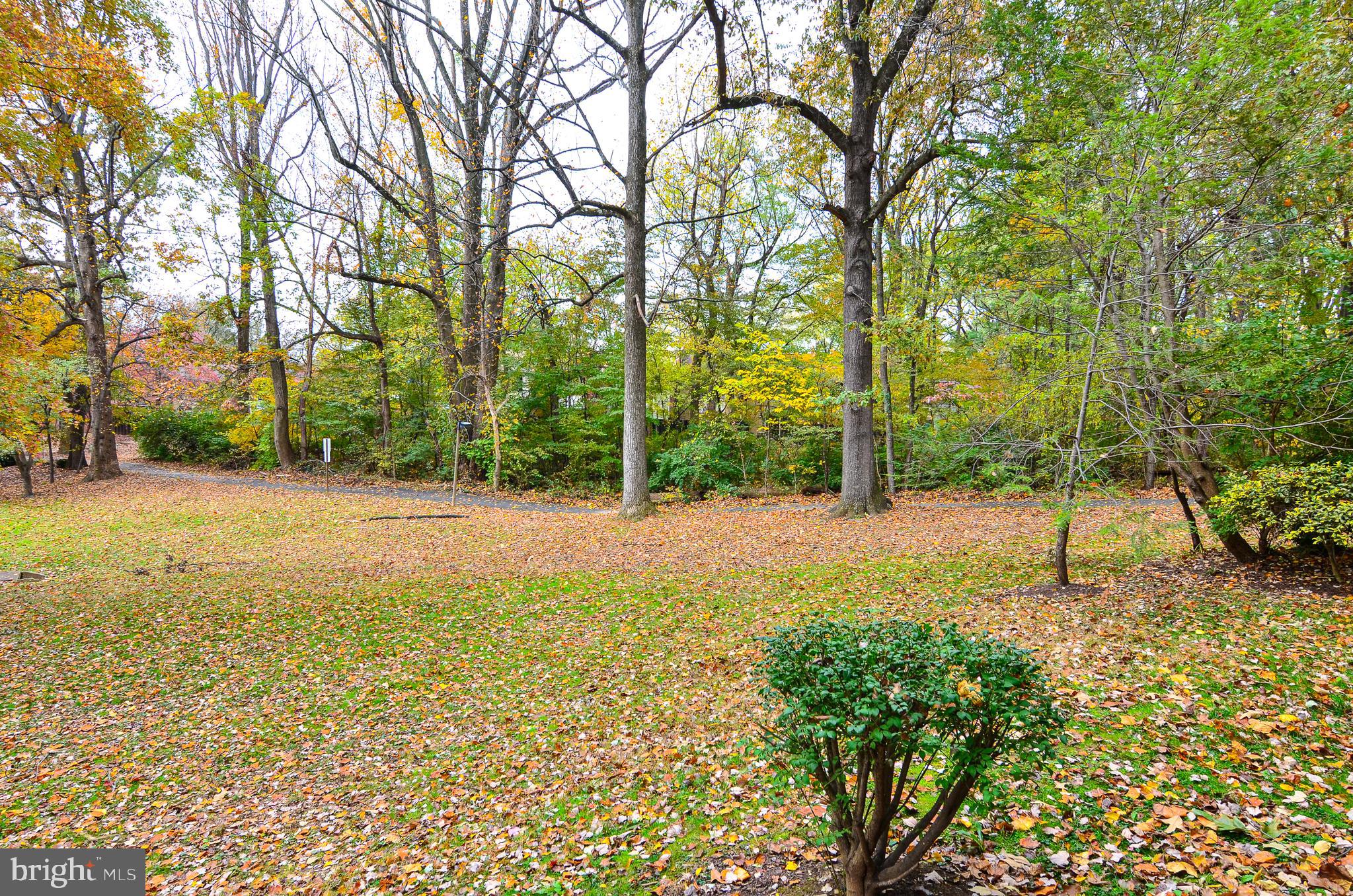 1406 Northgate Square, Unit 1A Reston, VA 20190 - Photo 22 of 38 Quiet Common Area and Green Space