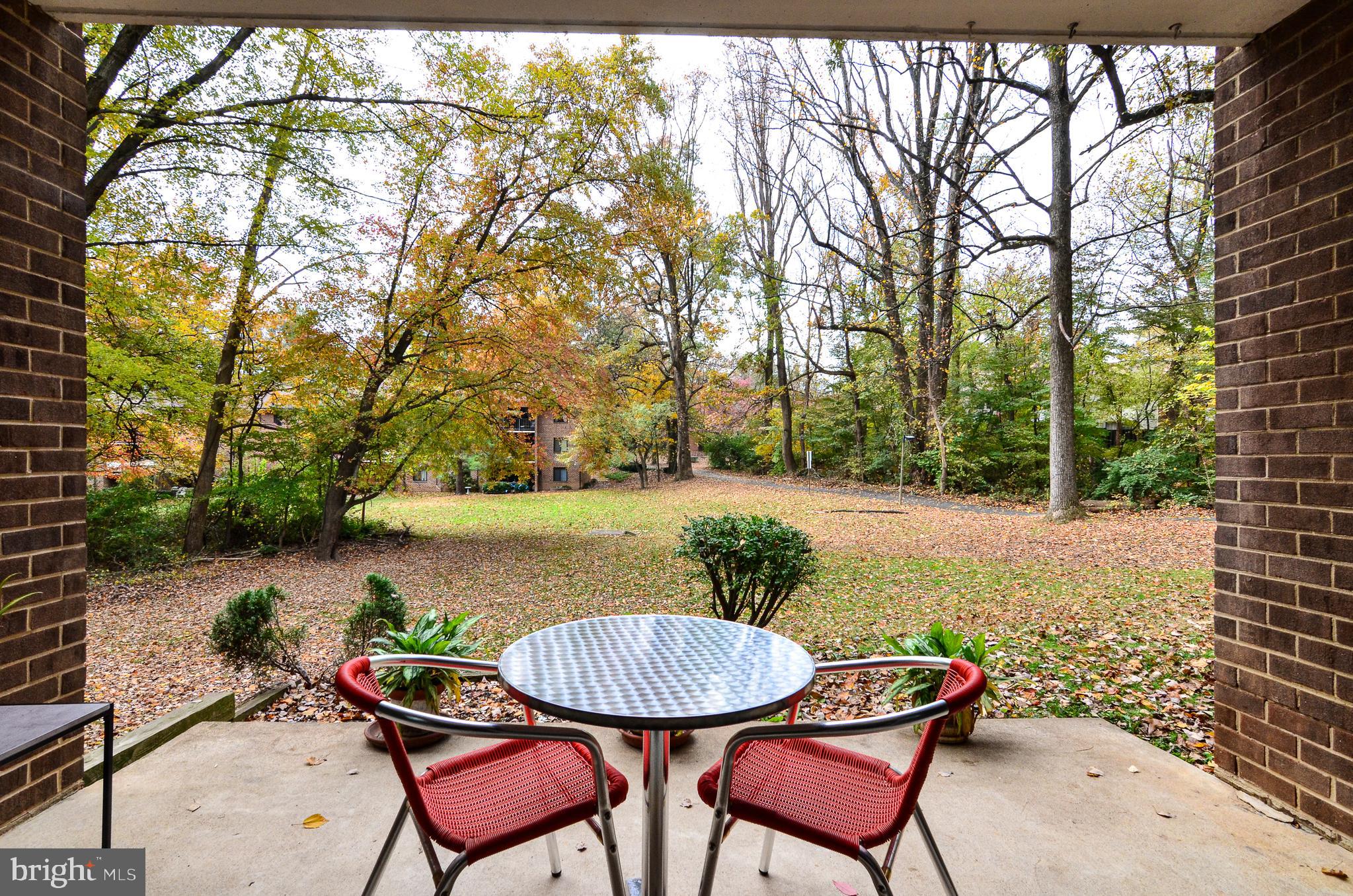 1406 Northgate Square, Unit 1A Reston, VA 20190 - Photo 5 of 38 Enjoy the quiet common area from the patio