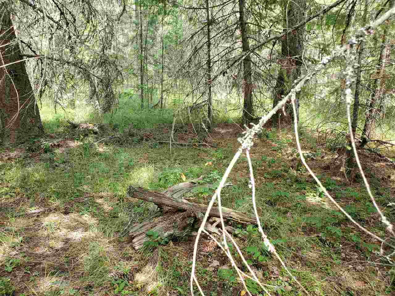 39-xx Spring Valley Road Newport, WA 99156 - Photo 14 of 19 Gallery Image 14