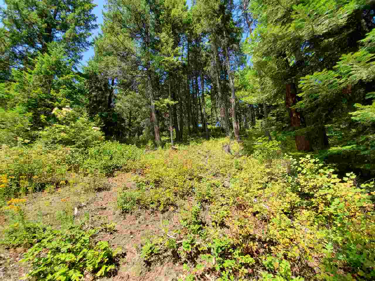 39-xx Spring Valley Road Newport, WA 99156 - Photo 5 of 19 Gallery Image 5