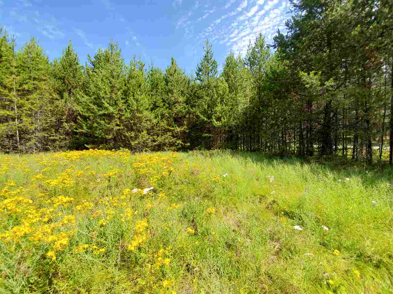 39-xx Spring Valley Road Newport, WA 99156 - Photo 9 of 19 Gallery Image 9