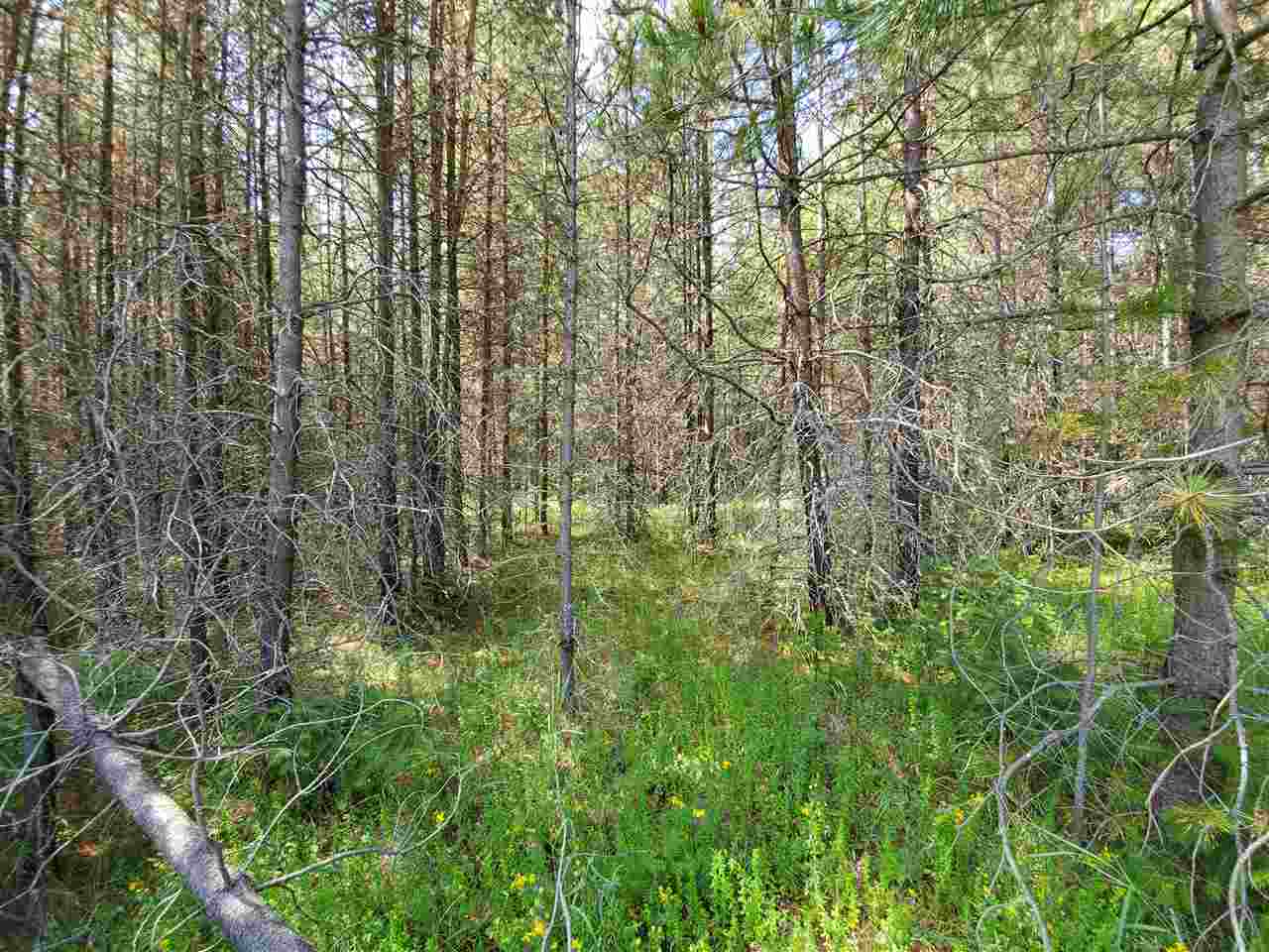 39-xx Spring Valley Road Newport, WA 99156 - Photo 10 of 19 Gallery Image 10