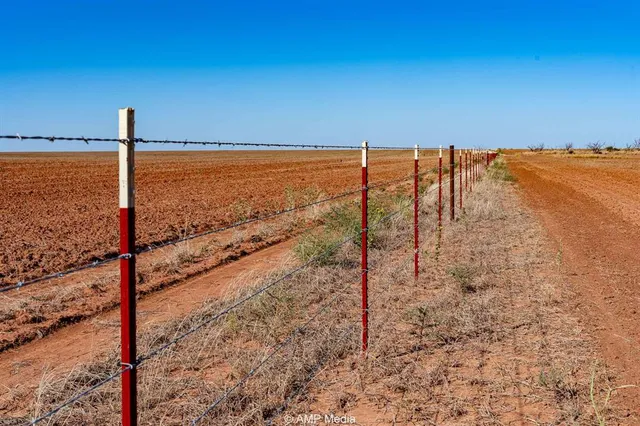 a view of a yard with lots of bushes