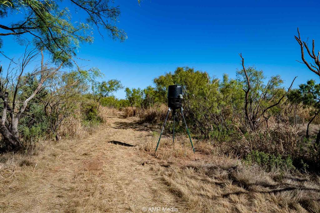 1504 Cr 423 Rule Tx 79547 Haskell, TX 79521 - Photo 12 of 26 a view of a yard with lots of bushes