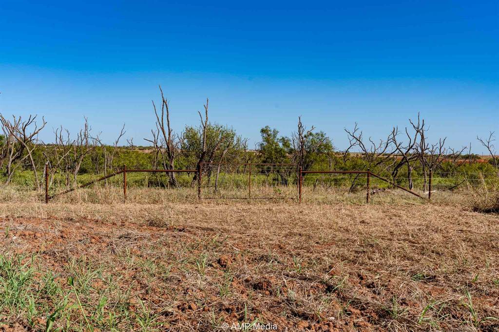 1504 Cr 423 Rule Tx 79547 Haskell, TX 79521 - Photo 21 of 26 a view of a yard with palm trees