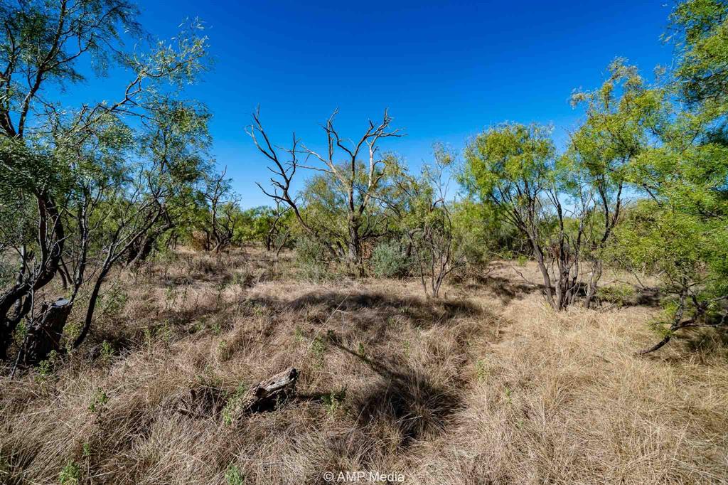 1504 Cr 423 Rule Tx 79547 Haskell, TX 79521 - Photo 23 of 26 a view of a yard with plants and large trees