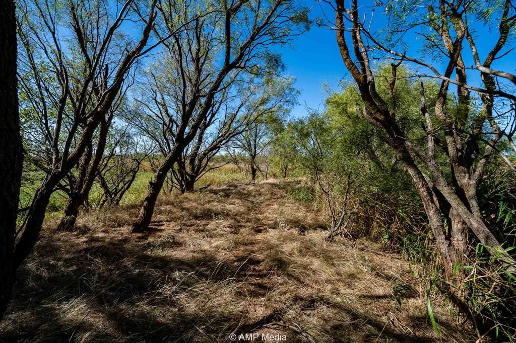 1504 Cr 423 Rule Tx 79547 Haskell, TX 79521 - Photo 3 of 26 a view of a yard