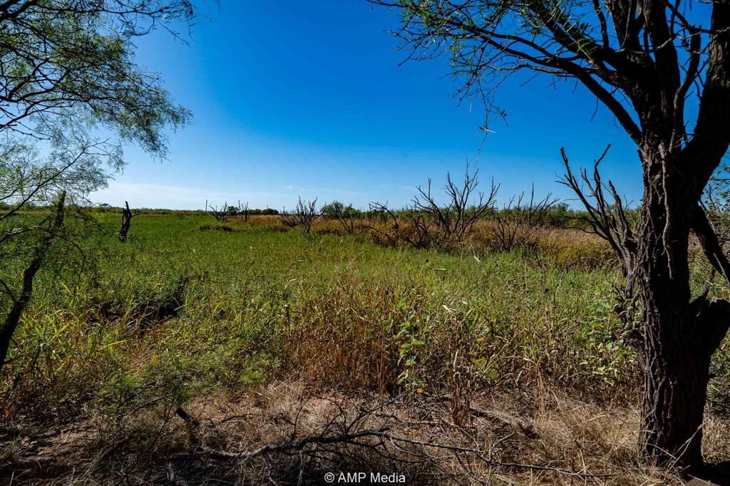 1504 Cr 423 Rule Tx 79547 Haskell, TX 79521 - Photo 8 of 26 a view of a yard