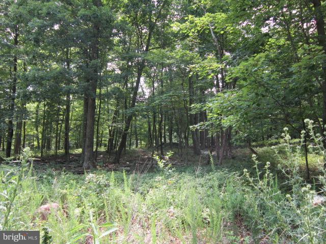 Off Rt 522/breakaway Berkeley Springs Berkeley Springs, WV 25411 - Photo 5 of 9 View