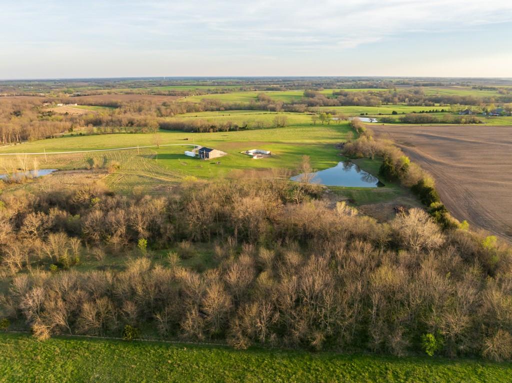 1164 Northwest 271st Road Mayview, MO 64071 - Photo 4 of 75