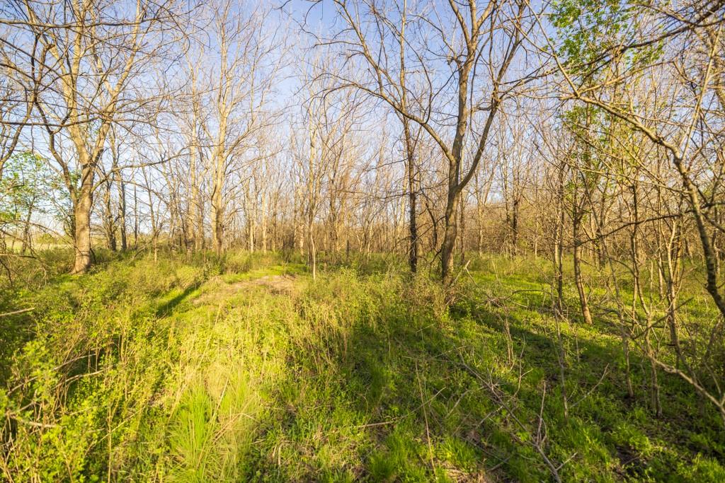 1164 Northwest 271st Road Mayview, MO 64071 - Photo 59 of 75