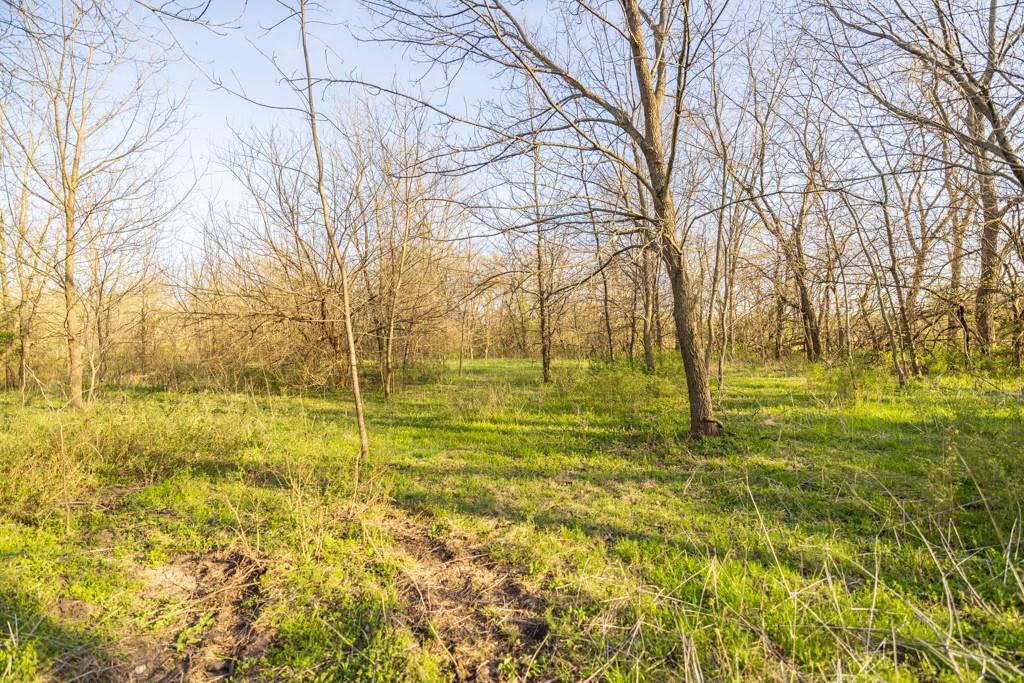 1164 Northwest 271st Road Mayview, MO 64071 - Photo 60 of 75