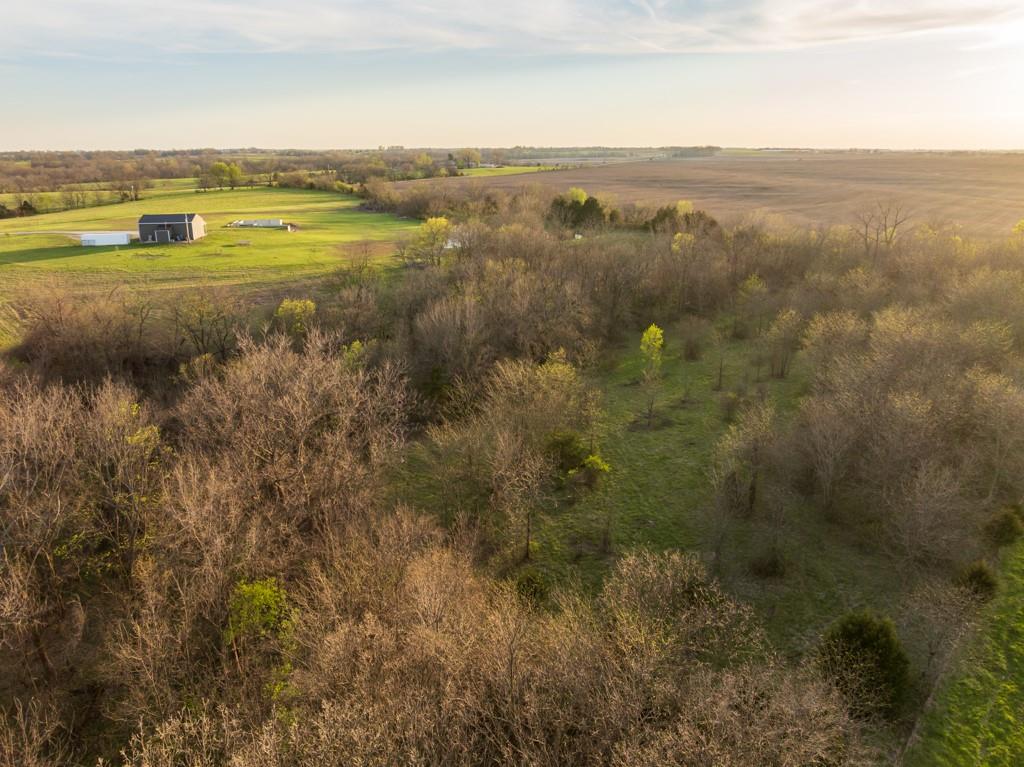 1164 Northwest 271st Road Mayview, MO 64071 - Photo 6 of 75