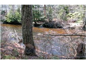 Lot 8 Sawyer Road Lee, NH 03861 - Photo 3 of 6 Gallery Image 3