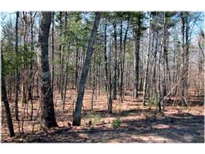 Lot 8 Sawyer Road Lee, NH 03861 - Photo 5 of 6 Gallery Image 5
