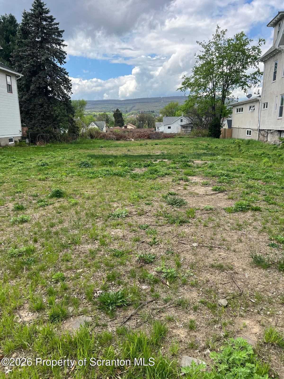 1635 Sanderson Avenue Scranton, PA 18509 - Photo 1 of 5 a view of a big yard with plants and large trees