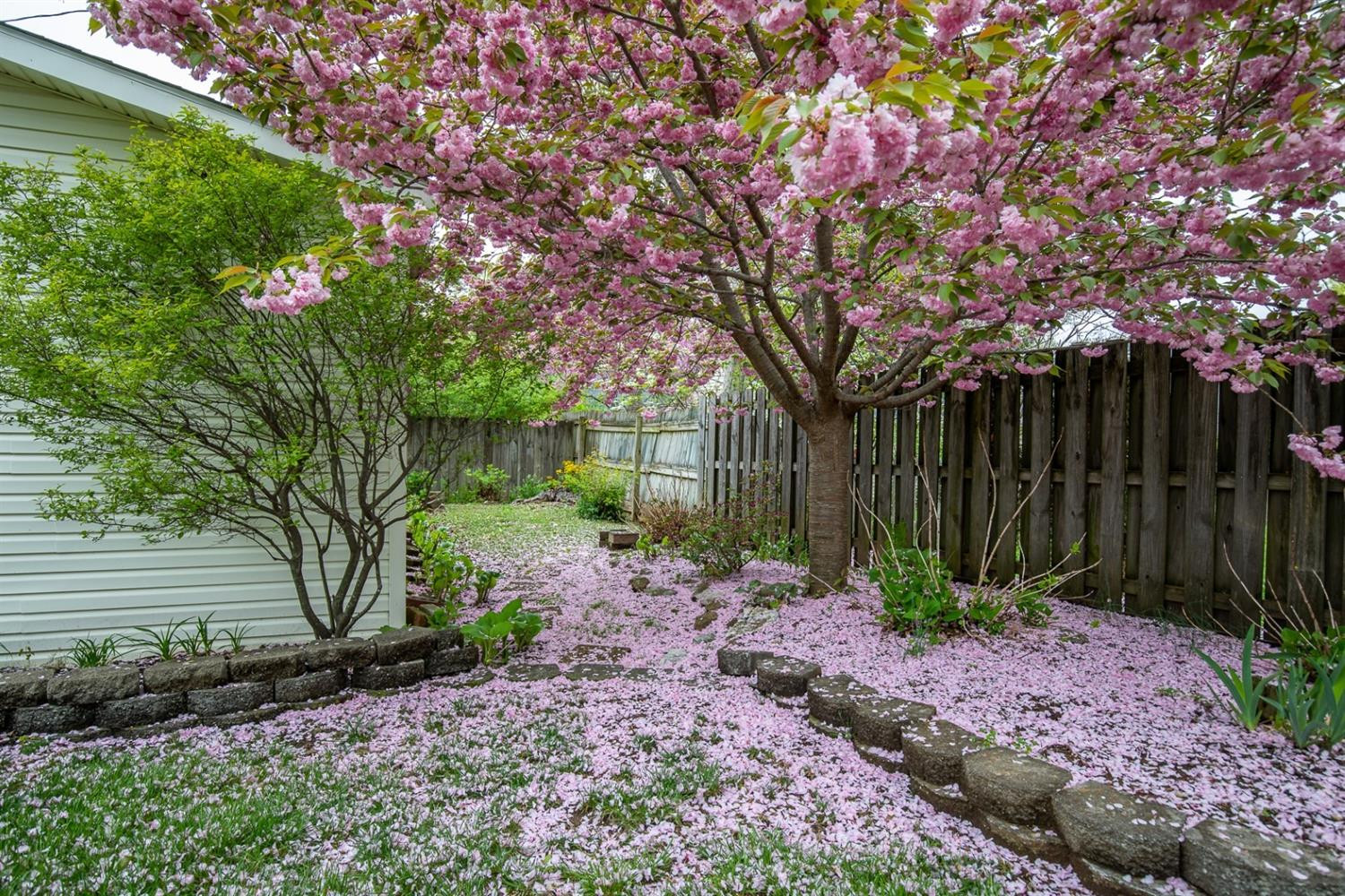 233 Chenault Road Lexington, KY 40502 - Photo 17 of 36 Photo 17