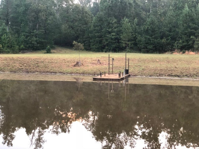0 Vic Moore Road Thomson, GA 30824 - Photo 2 of 11