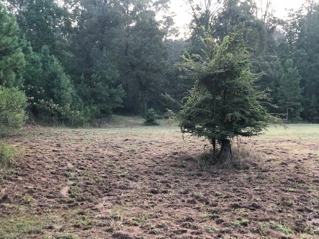 0 Vic Moore Road Thomson, GA 30824 - Photo 3 of 11