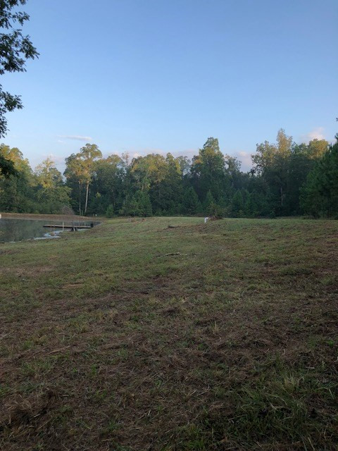 0 Vic Moore Road Thomson, GA 30824 - Photo 8 of 11