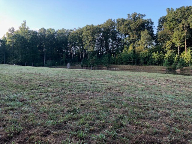 0 Vic Moore Road Thomson, GA 30824 - Photo 9 of 11
