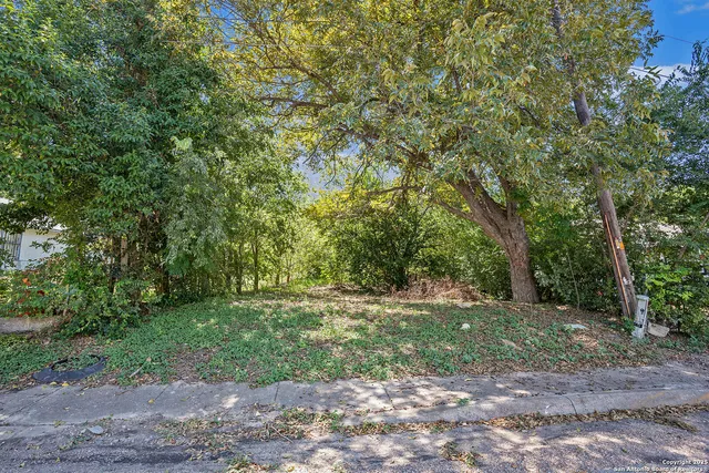 a big yard with lots of green space and deers