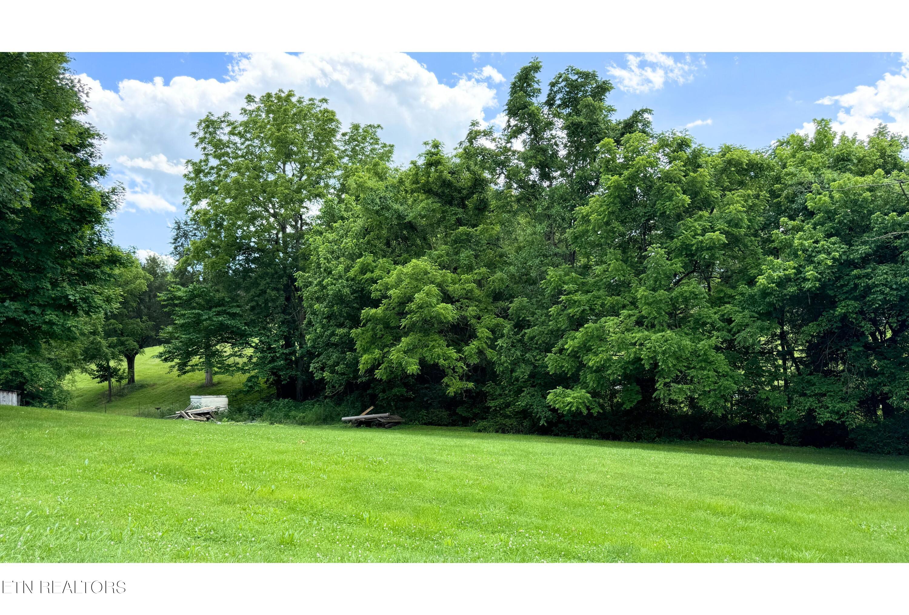 3405 Douglas Dam Road Kodak, TN 37764 - Photo 5 of 6 BACK YARD 2