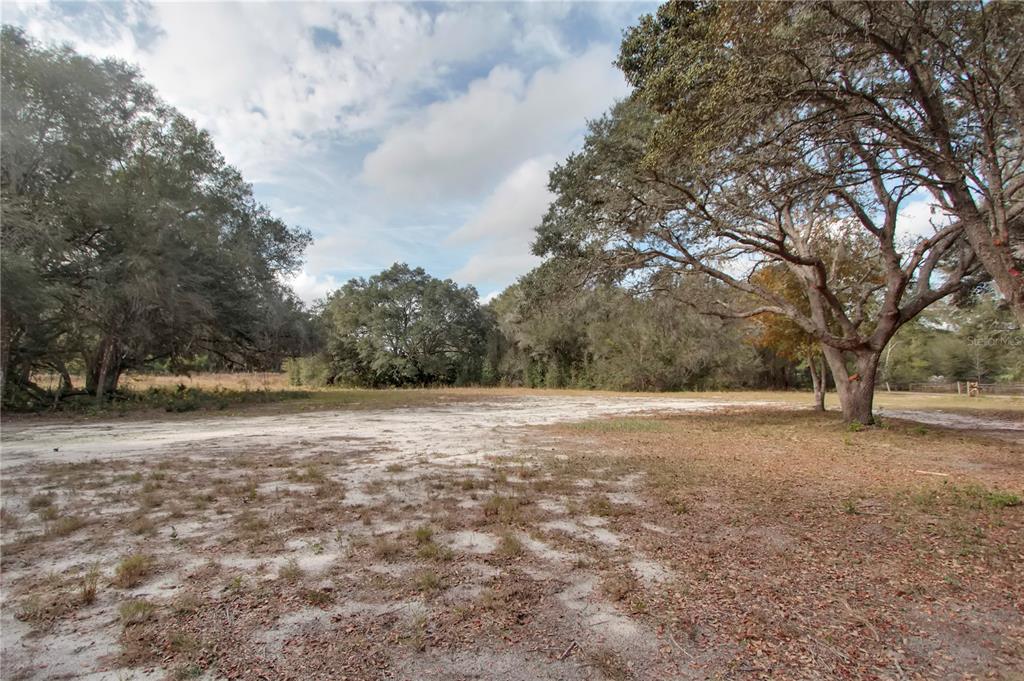 6892 Swain Road Sorrento, FL 32776 - Photo 35 of 57 a view of dirt yard with a trees