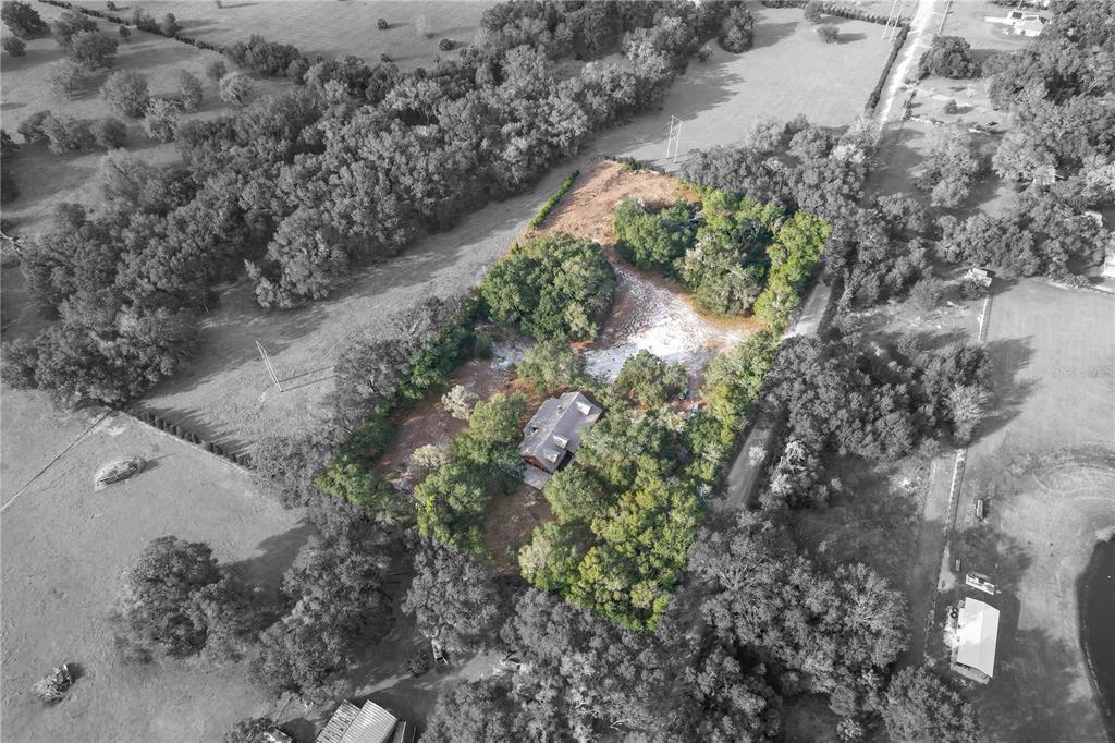 6892 Swain Road Sorrento, FL 32776 - Photo 40 of 57 a view of a yard with plants and tree