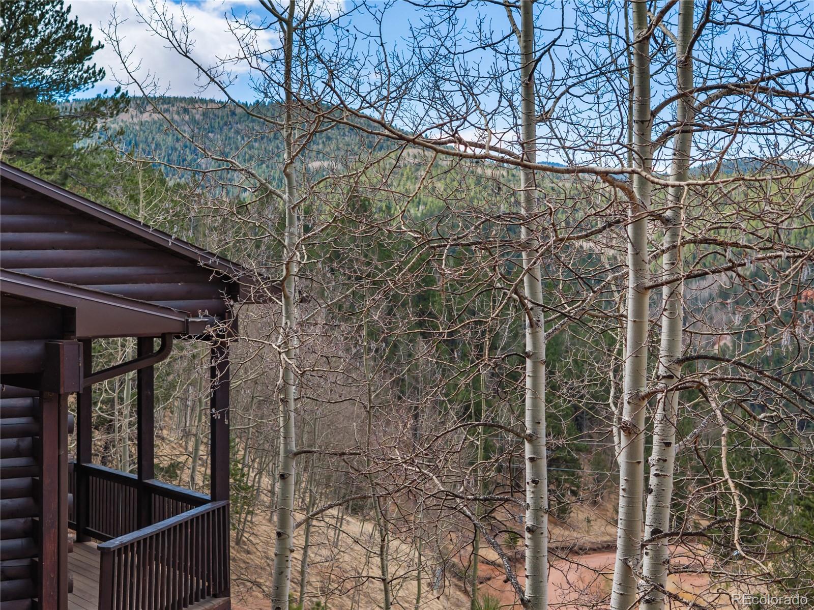 60 Beaver Pond Road Divide, CO 80814 - Photo 11 of 50