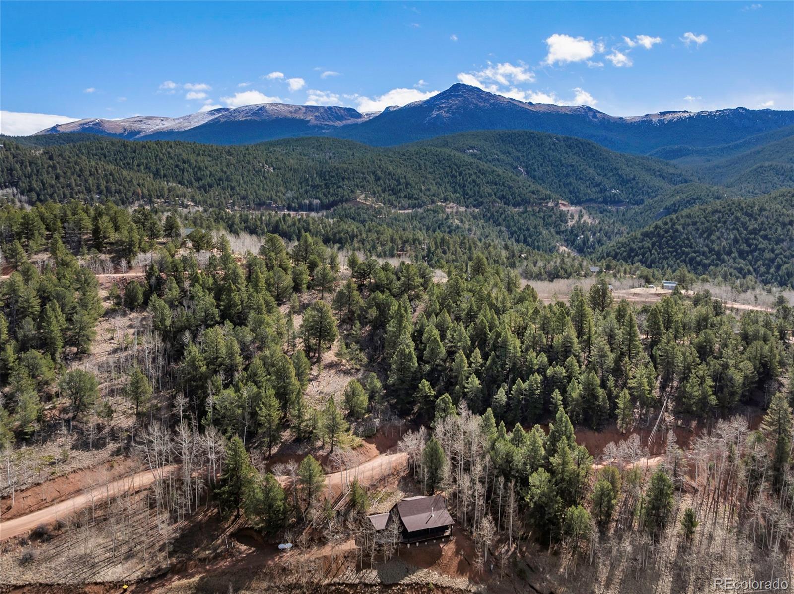 60 Beaver Pond Road Divide, CO 80814 - Photo 2 of 50