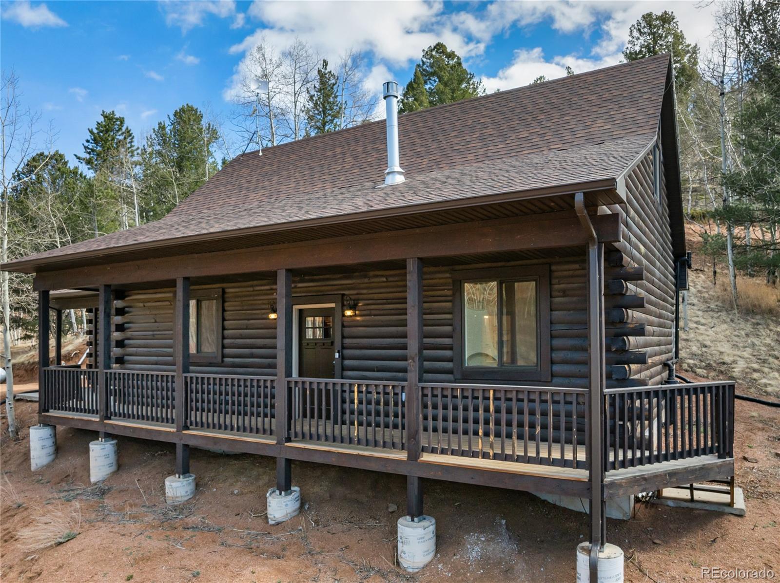60 Beaver Pond Road Divide, CO 80814 - Photo 3 of 50