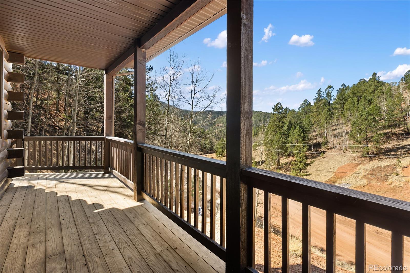 60 Beaver Pond Road Divide, CO 80814 - Photo 5 of 50