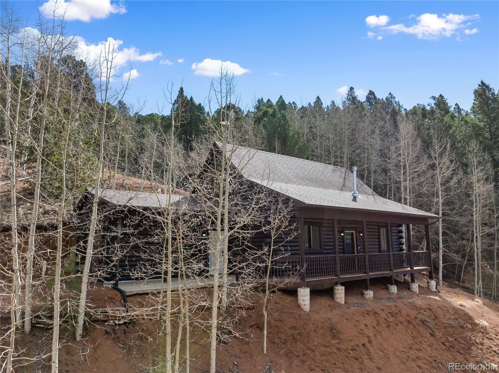 60 Beaver Pond Road Divide, CO 80814 - Photo 9 of 50