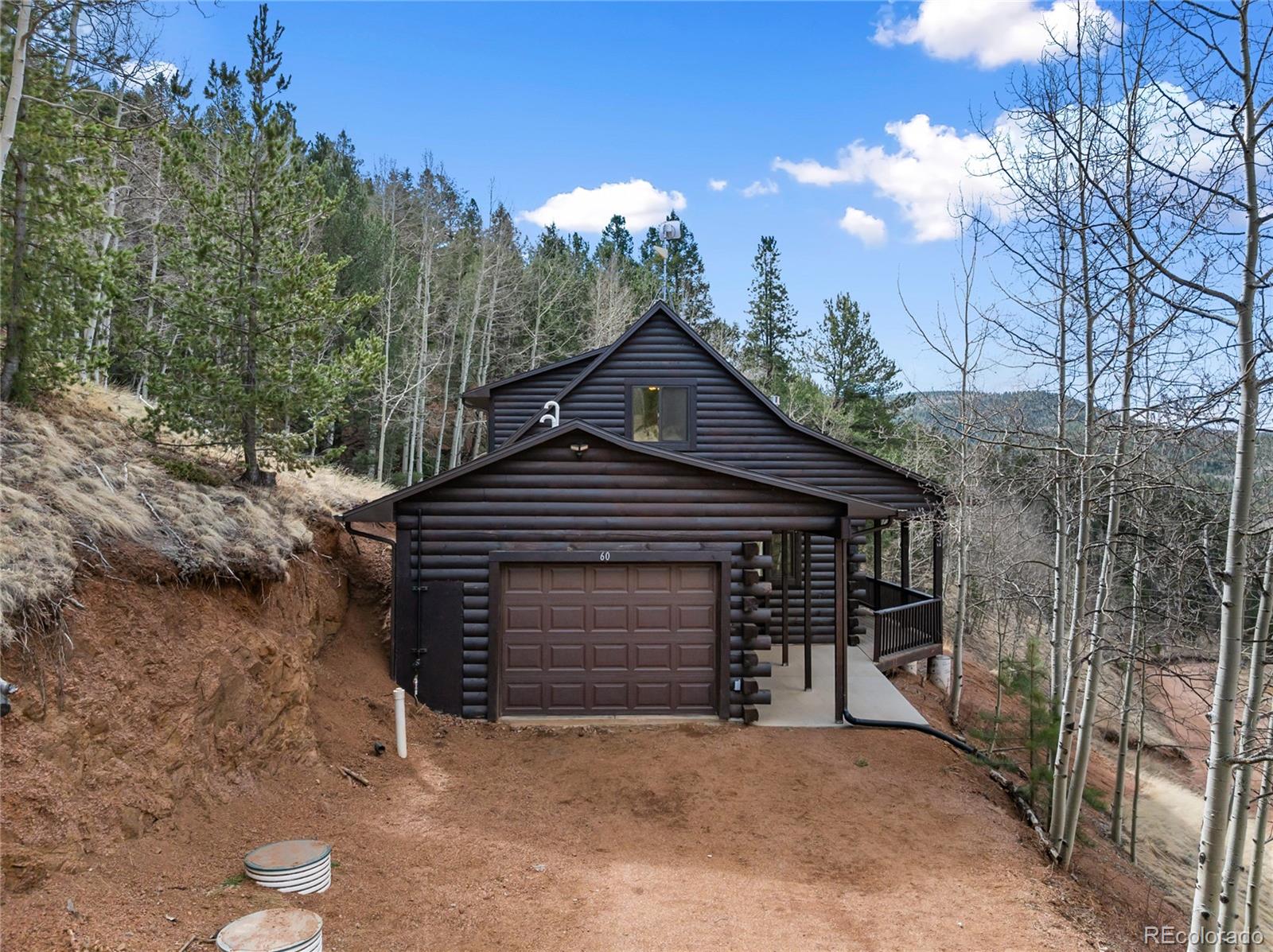 60 Beaver Pond Road Divide, CO 80814 - Photo 10 of 50