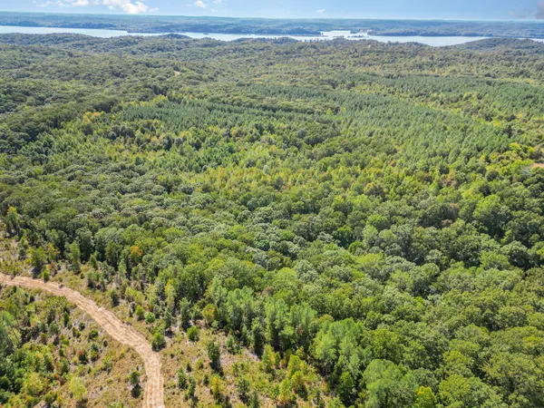 a view of a lush green field