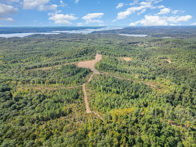 a view of a city with lush green forest