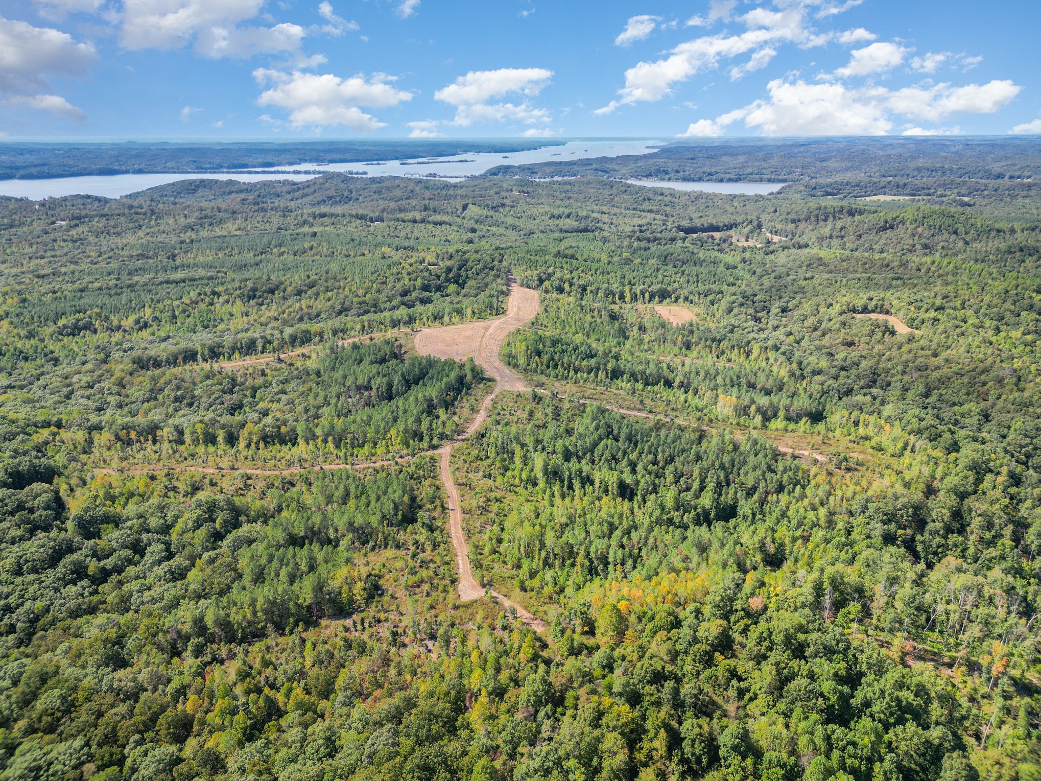 240 Miller Ridge Lane Stewart, TN 37175 - Photo 15 of 29 a view of a city with lush green forest