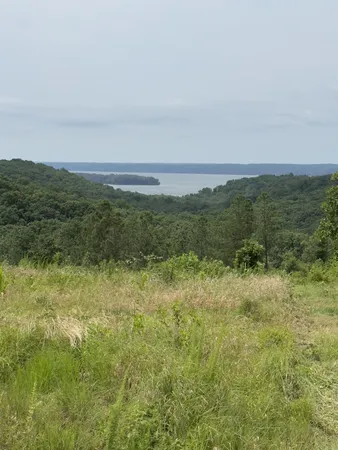 a view of a field with an ocean