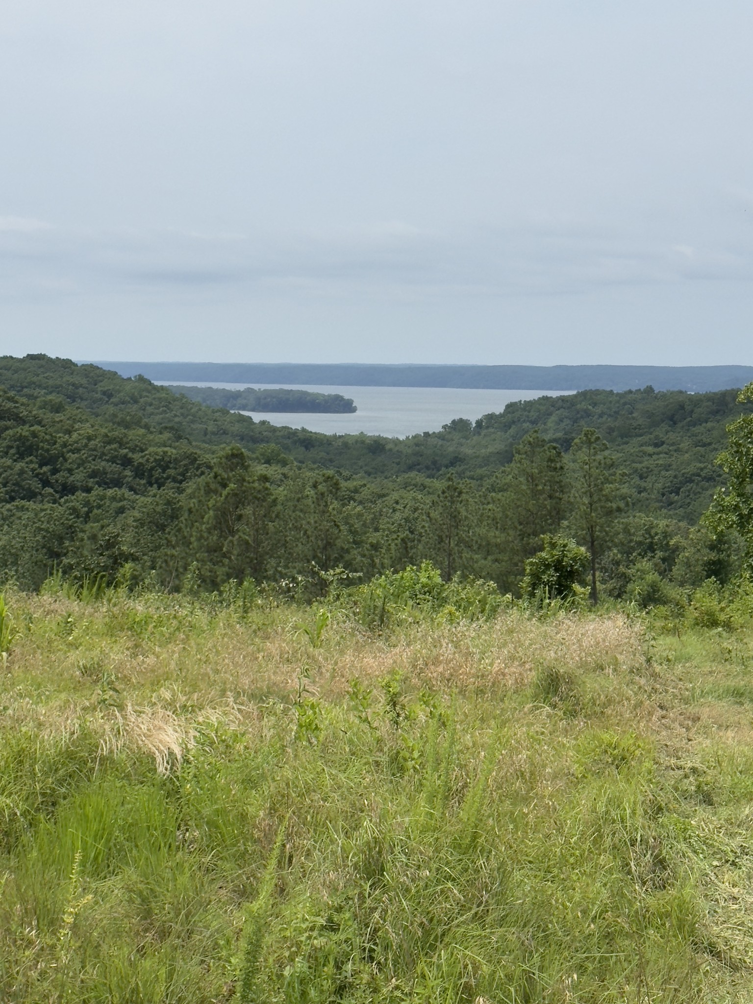 240 Miller Ridge Lane Stewart, TN 37175 - Photo 16 of 29 a view of a field with an ocean
