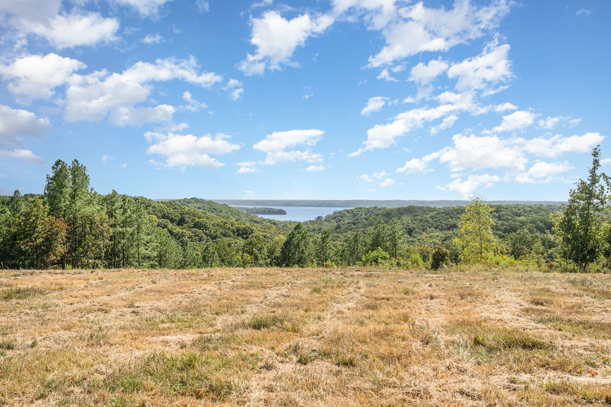 240 Miller Ridge Lane Stewart, TN 37175 - Photo 2 of 29 a view of a yard with a tree