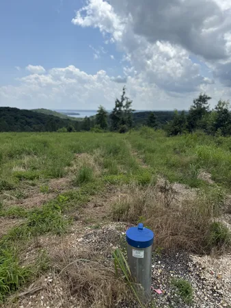 a view of a backyard with water fountain