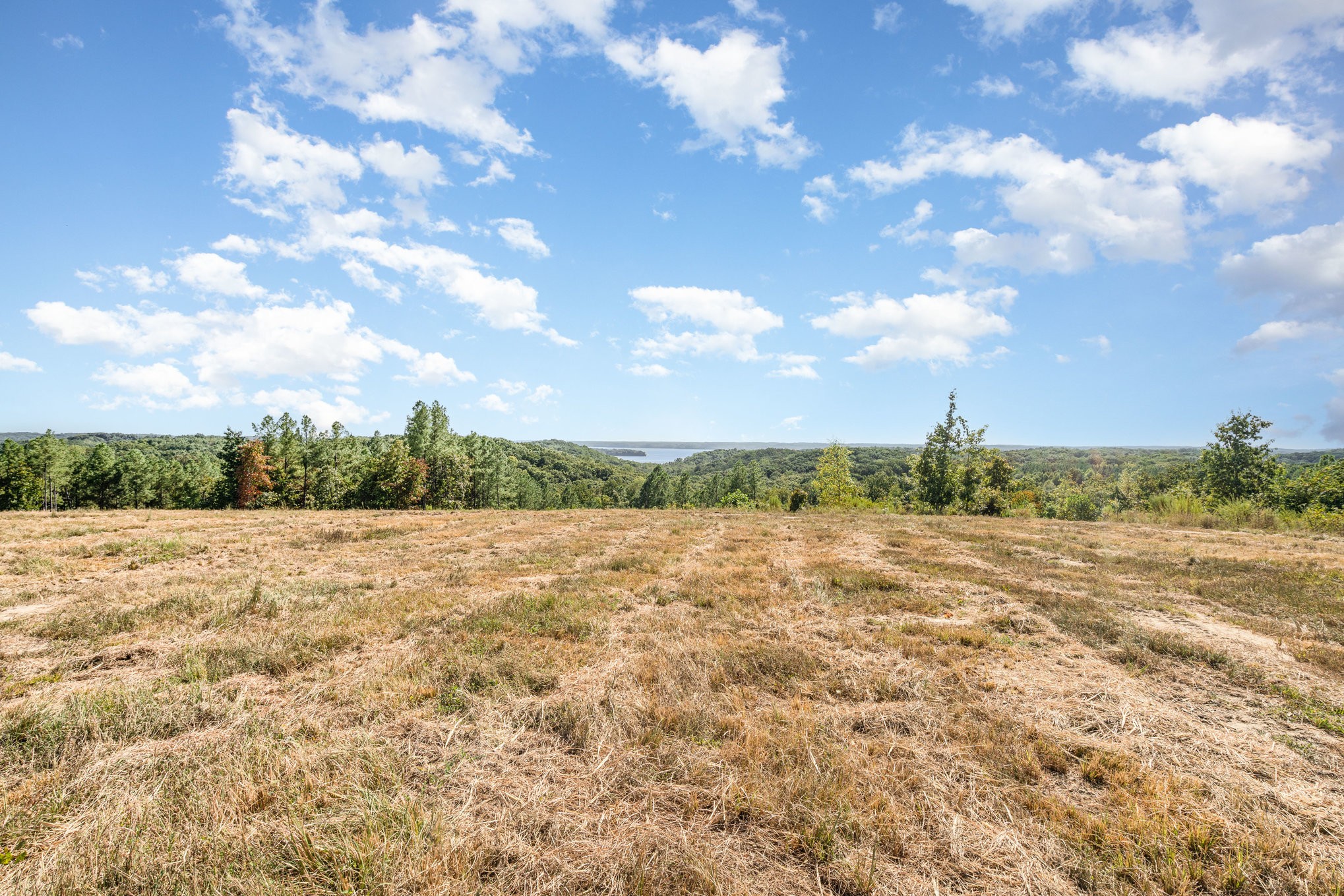 240 Miller Ridge Lane Stewart, TN 37175 - Photo 3 of 29 a view of an outdoor space and a yard