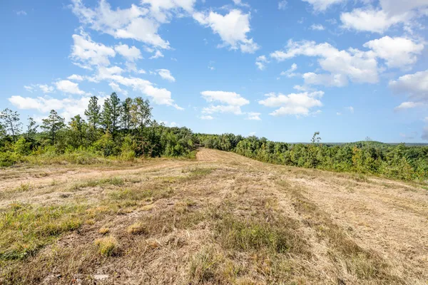 a view of a field with an trees