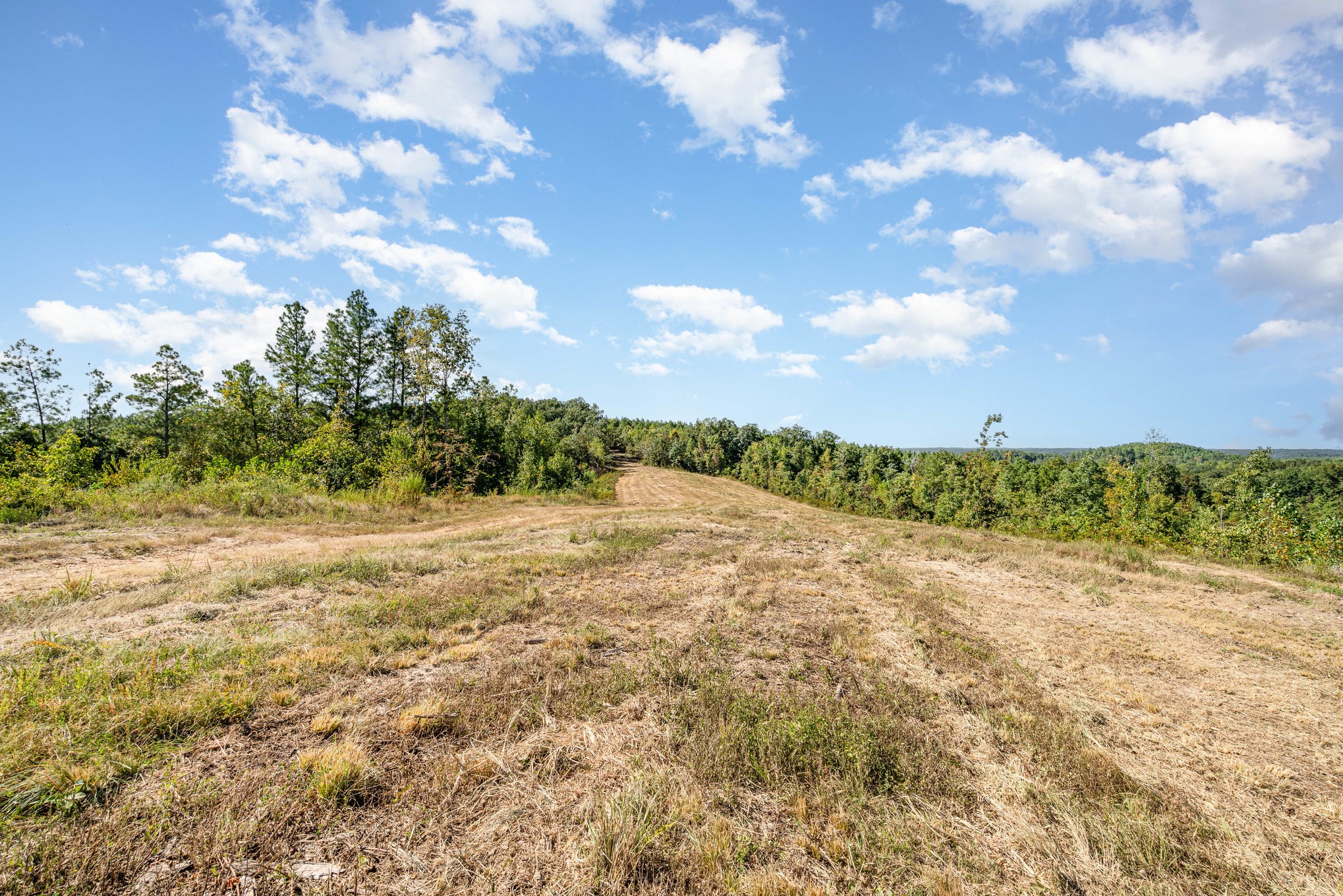 240 Miller Ridge Lane Stewart, TN 37175 - Photo 4 of 29 a view of a field with an trees
