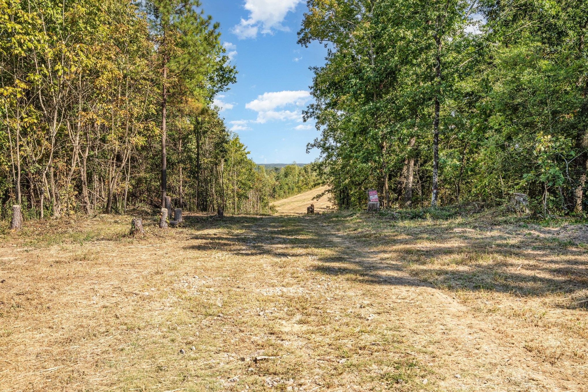 240 Miller Ridge Lane Stewart, TN 37175 - Photo 5 of 29 a view of a yard with a tree